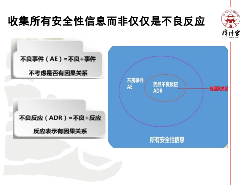 藥物警戒網(wǎng)絡(luò)培訓(xùn)資料.pptx(1)_07.jpg